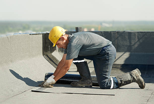 Best Residential Insulation in Roberta, GA