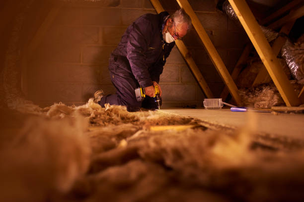 Best Commercial Insulation in Roberta, GA