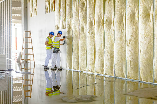 Types of Insulation We Offer in Roberta, GA
